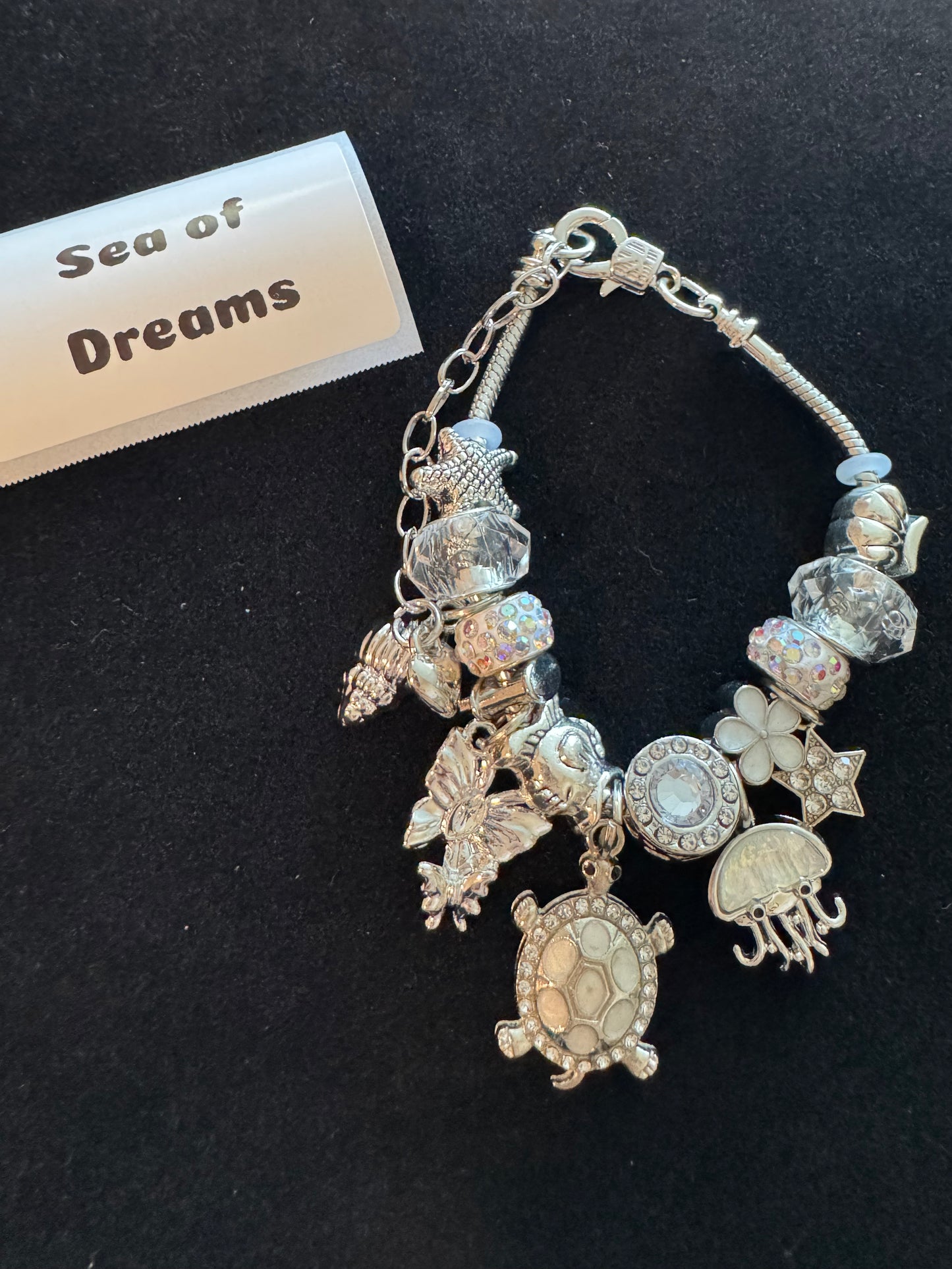Sea Of Dreams