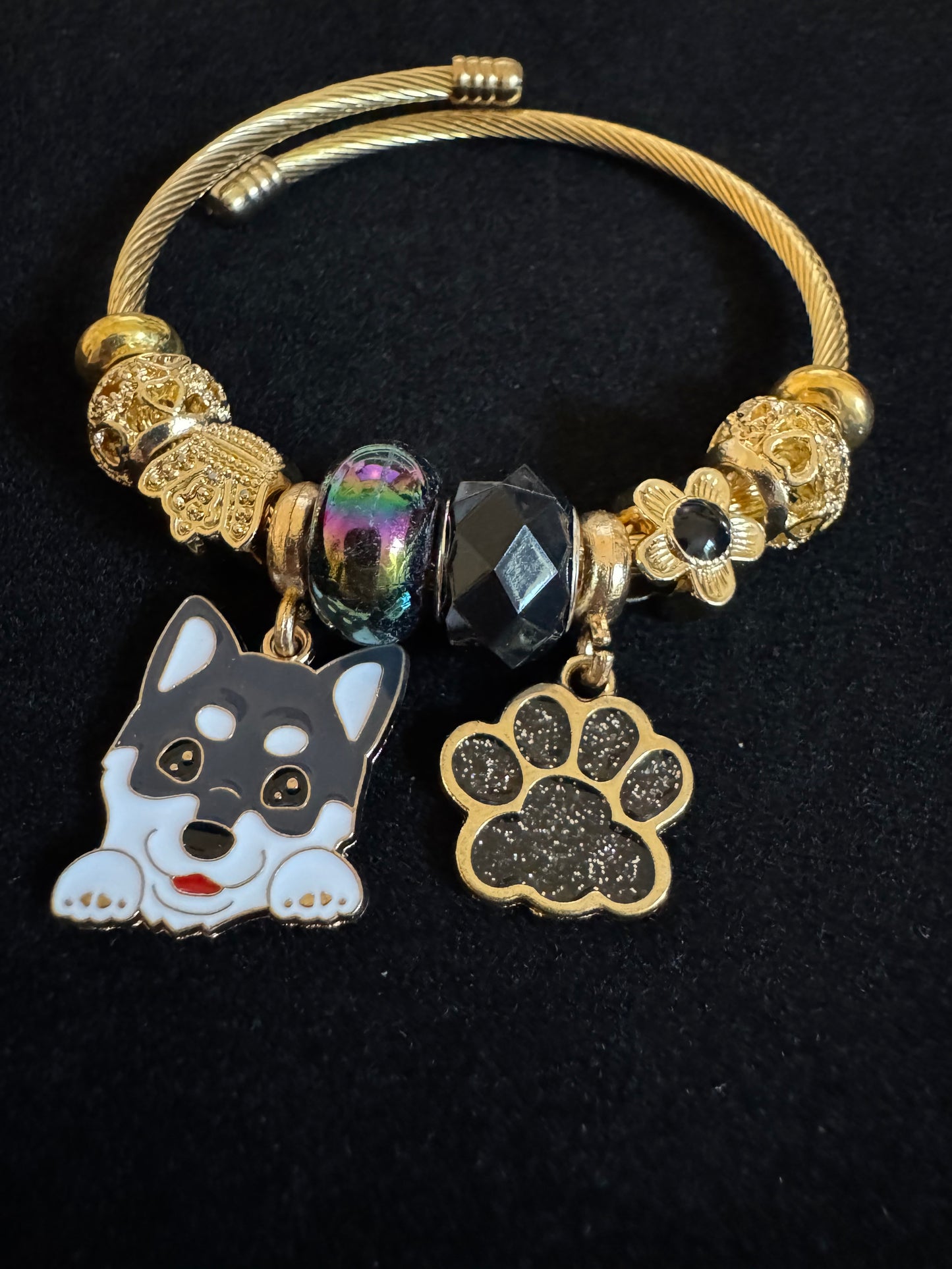 Pretty Pup 5