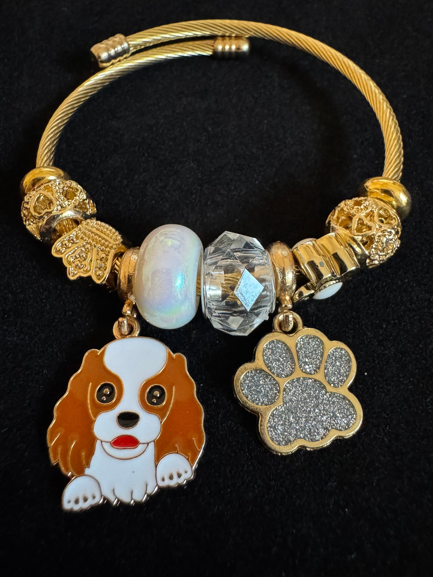 Pretty Pup 3